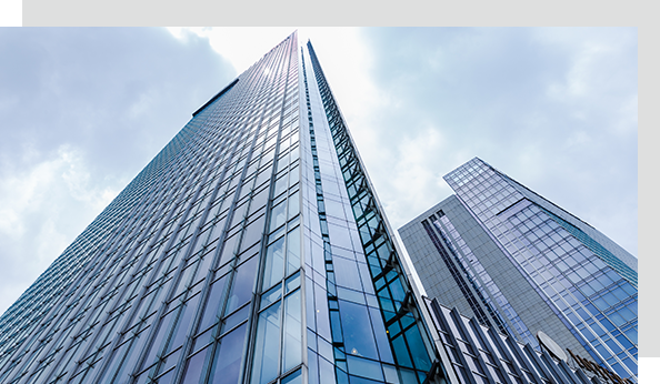 乐思体育电力 乐思体育电力